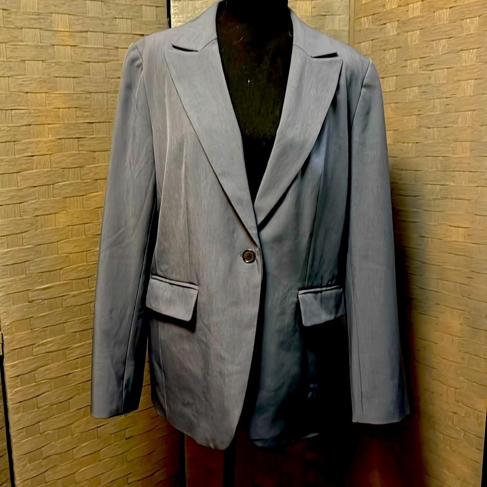 Shark Gray Banana Republic Blazer Sz 10